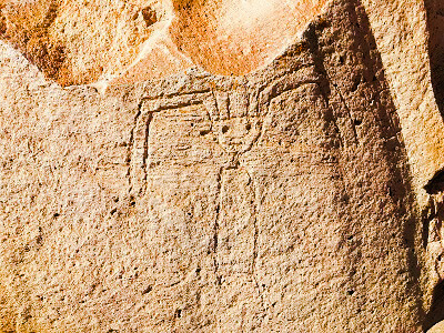 toro muerto petroglyphs route valley of the volcanoes andagua