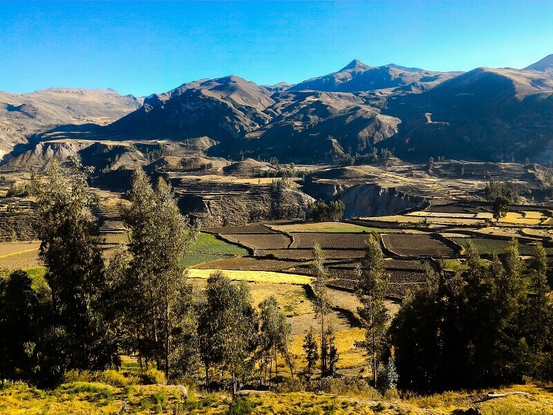 landscape cotahuasi