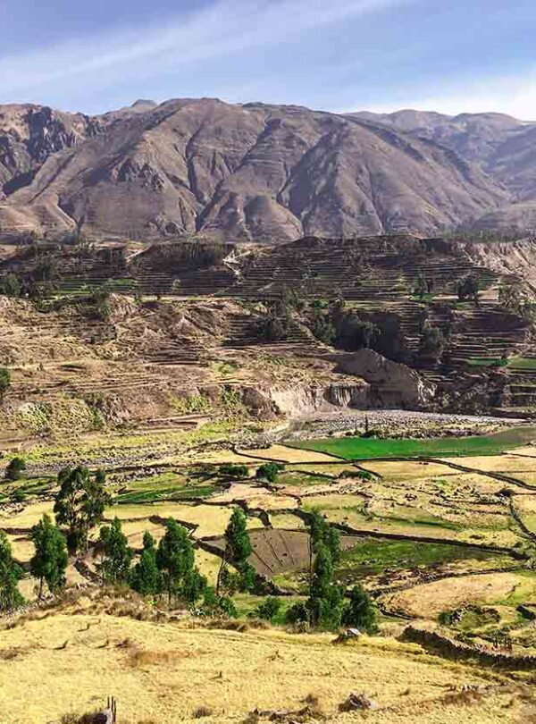 Colca Canyon Landscape in dry season