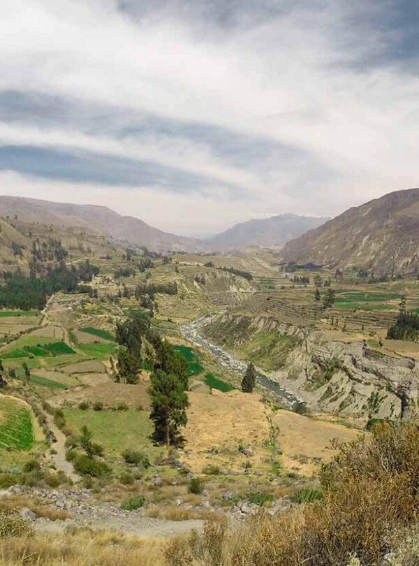 Colca Canyon Landscape
