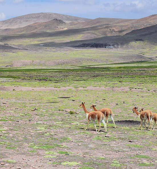 Salinas & Aguada Blanca Reserve – Full Day