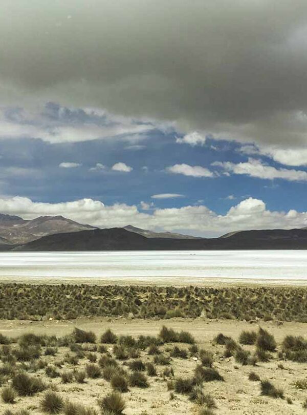 Salt flats of the Aguada Blanca salt reserve in winter