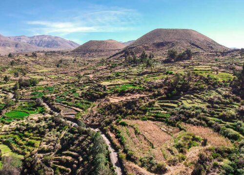 Valle de los Volcanes (Valley of the Volcanoes) – 3 Days